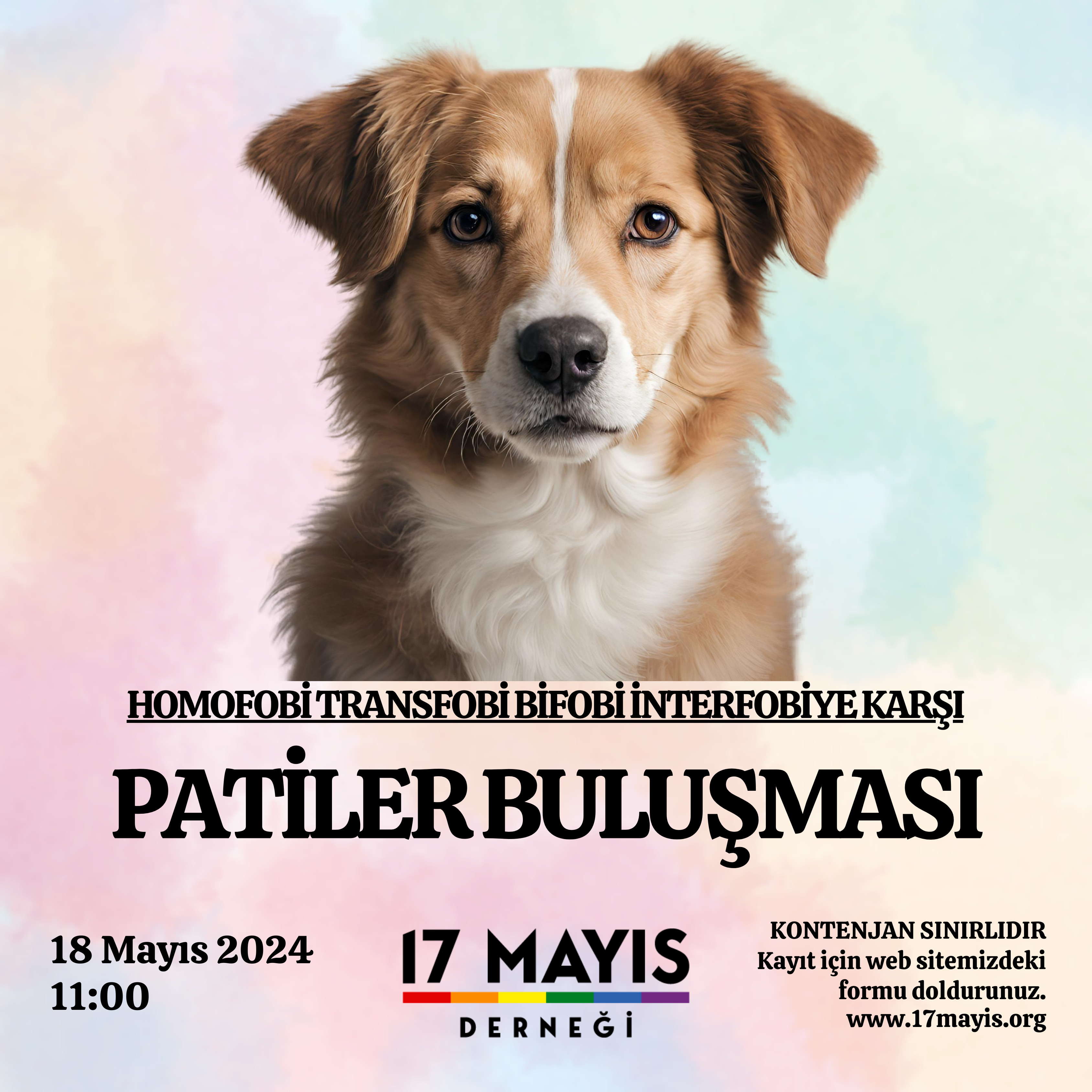 Homofobi Bifobi İnterfobi ve Transfobiye Karşı Patiler Buluşması - 17 Mayıs