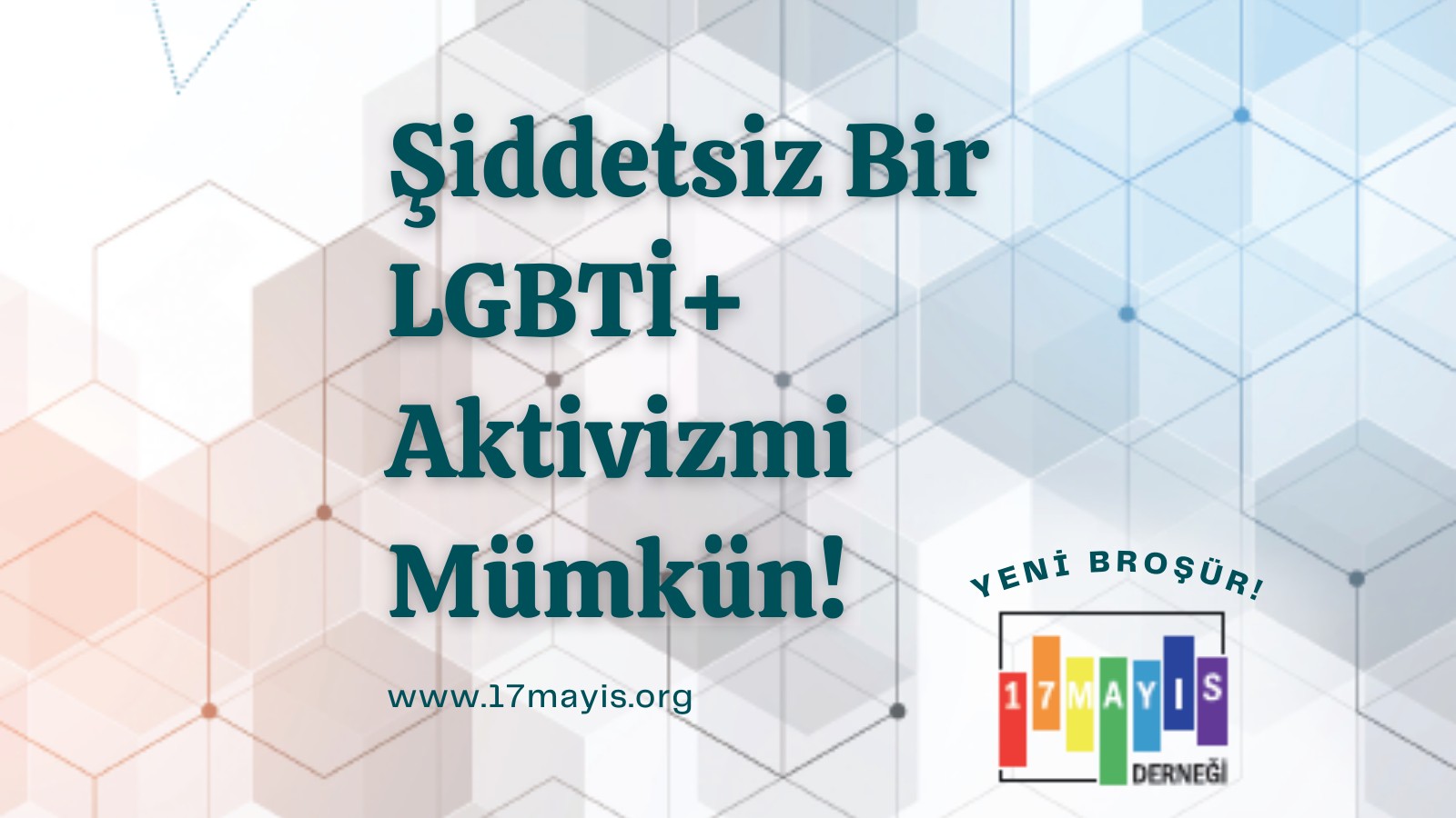 Şiddetsiz Bir LGBTİ+ Aktivizmi Mümkün! - 17 Mayıs