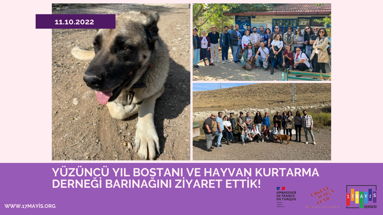 Yüzüncü Yıl Bostanı ve Hayvan Kurtarma Derneği Barınağını Ziyaret Ettik! - 17 Mayıs